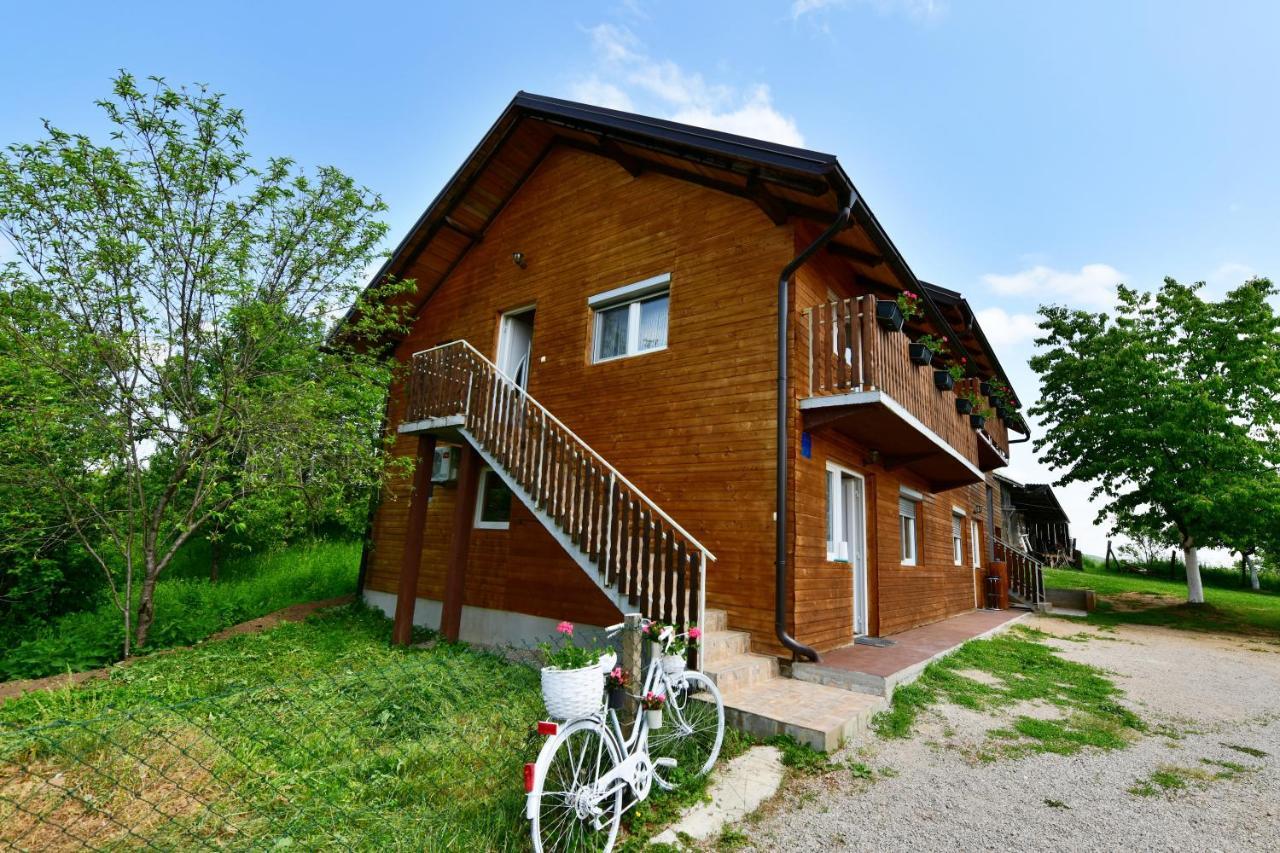 Apartments Laura Rakovica Bagian luar foto