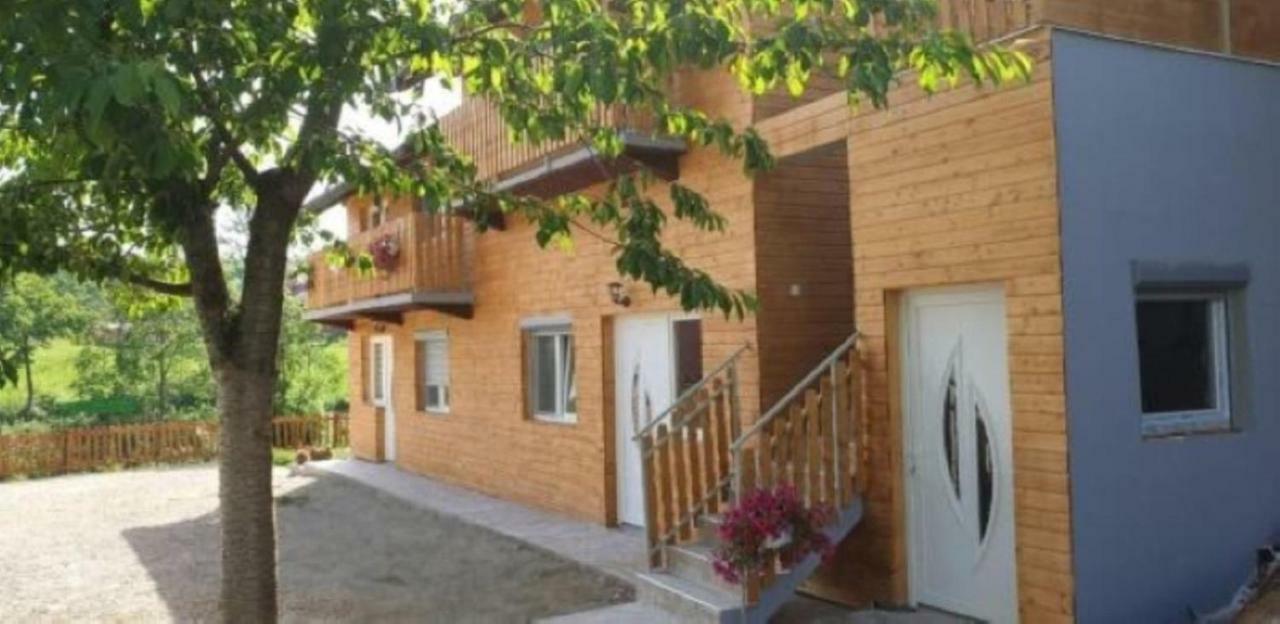 Apartments Laura Rakovica Bagian luar foto
